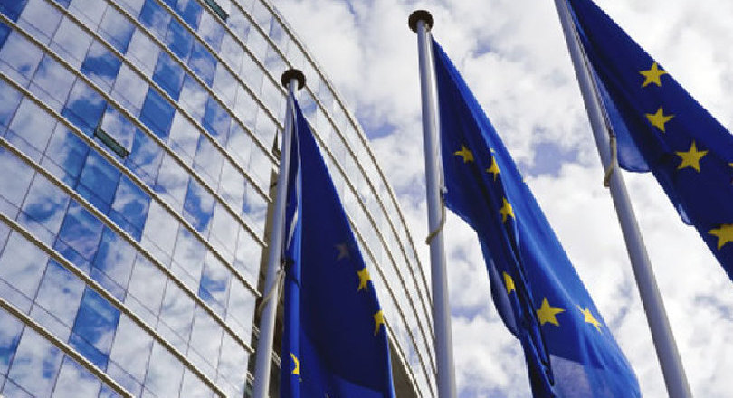 EU flags
