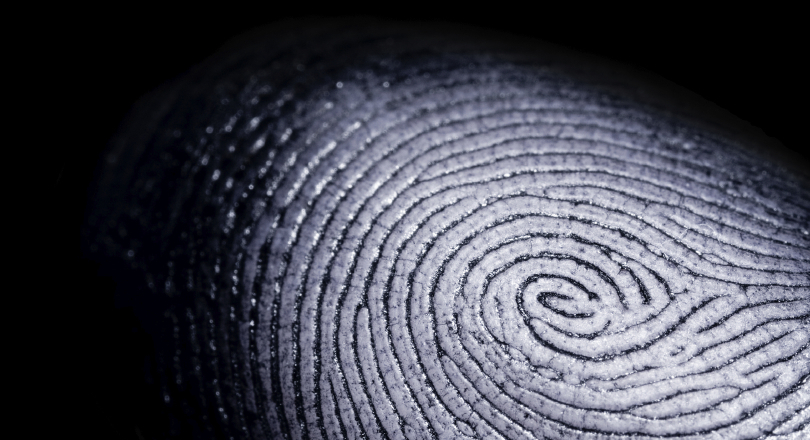 single fingerprint